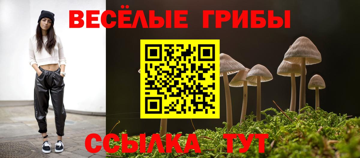 Псилоцибиновые грибы ЛСД Рыбинск